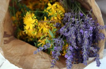 herbal untuk parasit dalam tubuh